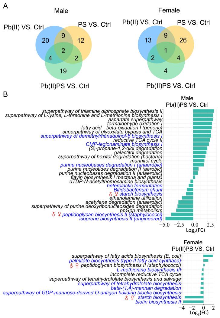 https://cdn.ncbi.nlm.nih.gov/pmc/blobs/4256/11051764/4e28284e9a47/metabolites-14-00189-g003.jpg