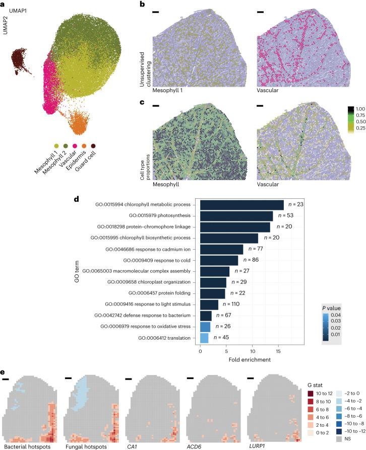 https://cdn.ncbi.nlm.nih.gov/pmc/blobs/4291/11392817/22ec7545d543/41587_2023_1979_Fig4_HTML.jpg