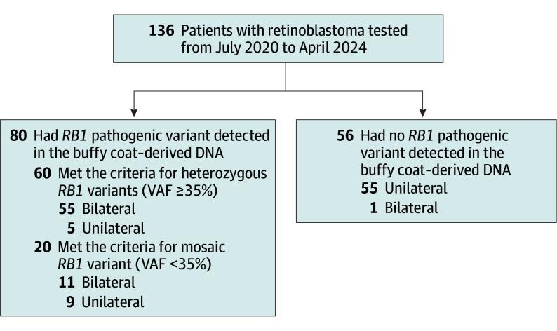https://cdn.ncbi.nlm.nih.gov/pmc/blobs/4292/12062978/7145087cdc2b/jamaophthalmol-e251079-g001.jpg