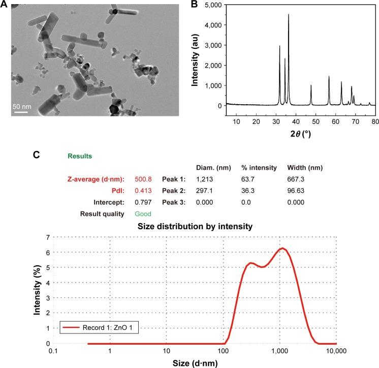 https://cdn.ncbi.nlm.nih.gov/pmc/blobs/42c5/5352242/e5ee45a98472/ijn-12-1891Fig2.jpg