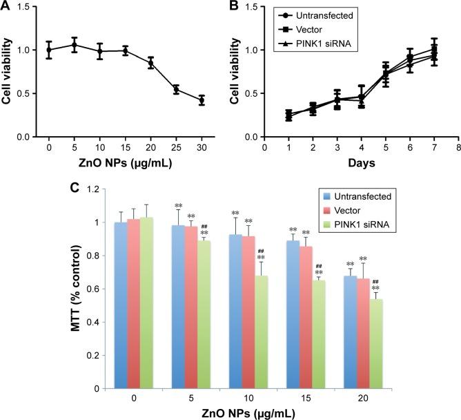 https://cdn.ncbi.nlm.nih.gov/pmc/blobs/42c5/5352242/f4200c5691e6/ijn-12-1891Fig4.jpg