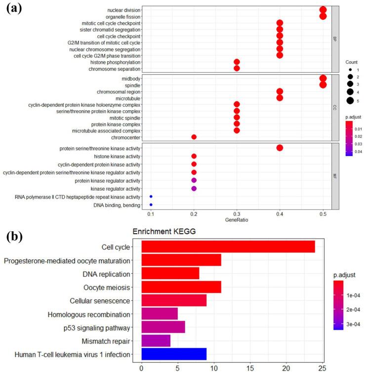 https://cdn.ncbi.nlm.nih.gov/pmc/blobs/42c5/9140789/40daf03723a3/genes-13-00902-g006.jpg