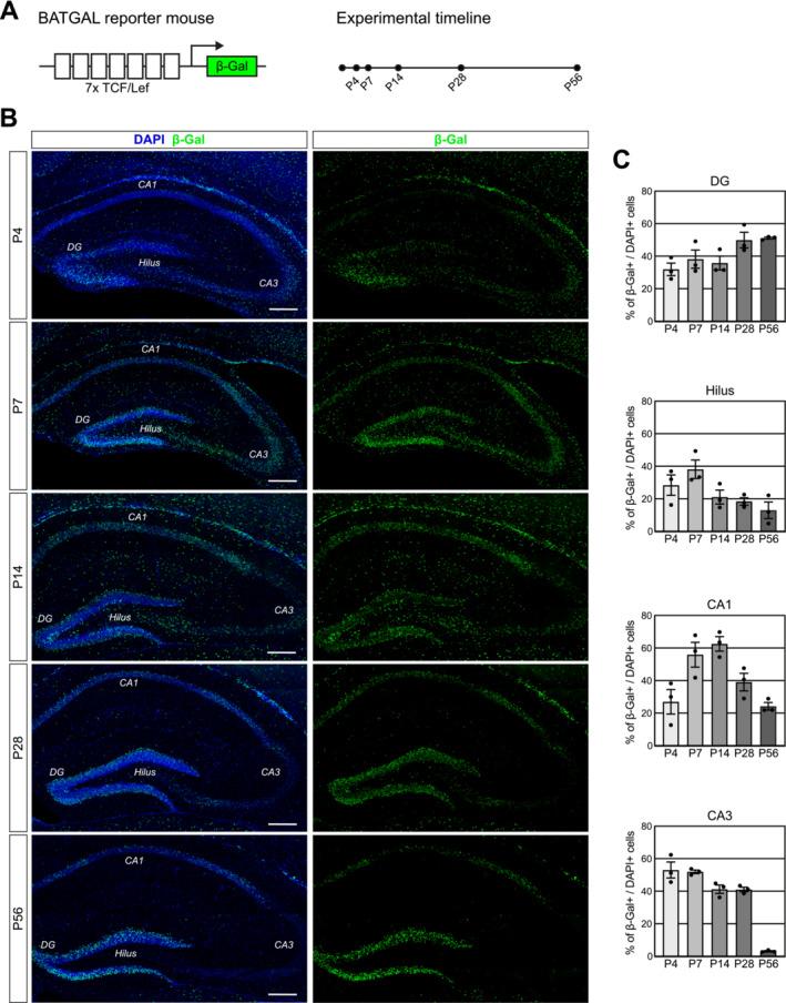 https://cdn.ncbi.nlm.nih.gov/pmc/blobs/42c6/11834944/cd110da801b2/JDN-85-0-g003.jpg