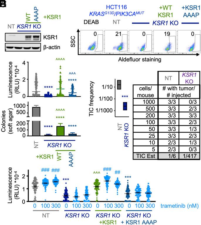 https://cdn.ncbi.nlm.nih.gov/pmc/blobs/42cd/10666034/107f4c8be1e5/pnas.2313137120fig05.jpg