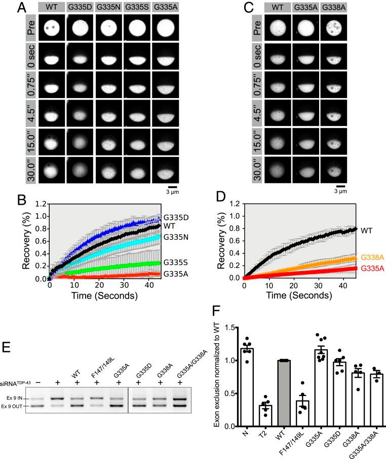 https://cdn.ncbi.nlm.nih.gov/pmc/blobs/42d3/7084079/0c8b1756faaa/pnas.1912055117fig05.jpg