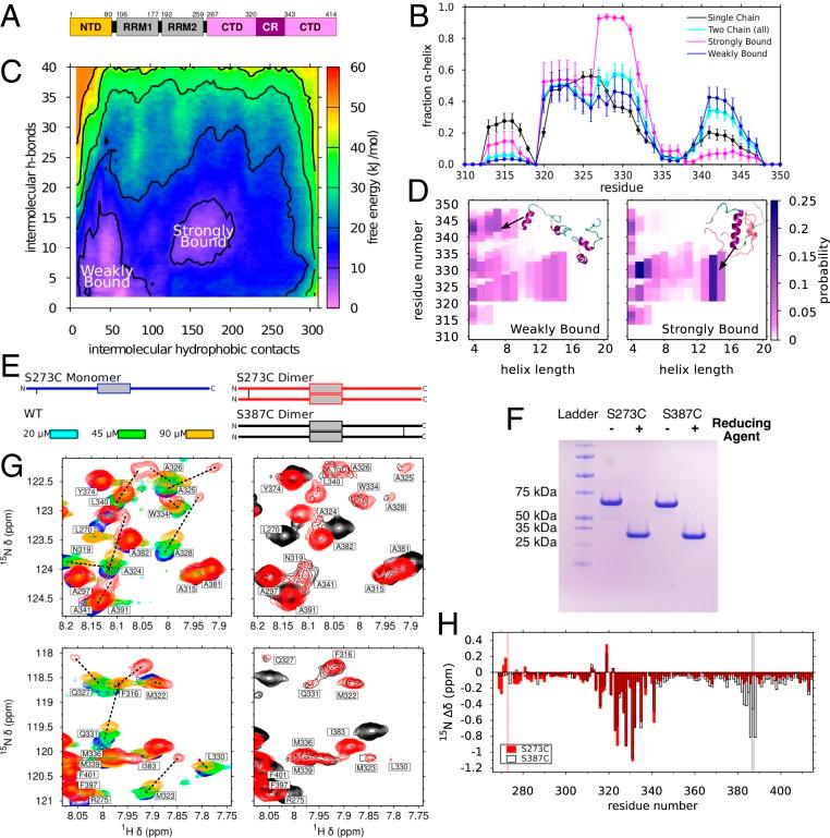 https://cdn.ncbi.nlm.nih.gov/pmc/blobs/42d3/7084079/97cd5ba3958f/pnas.1912055117fig01.jpg