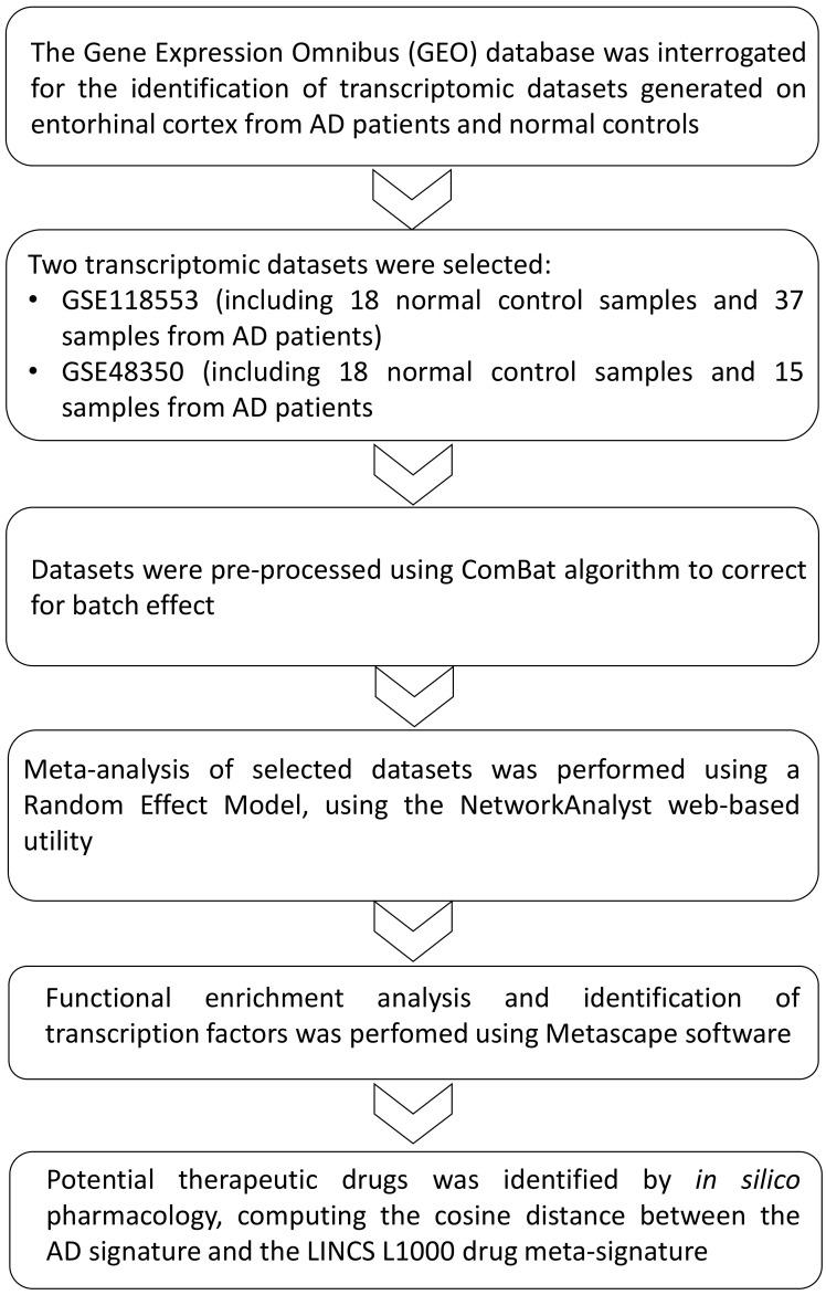 https://cdn.ncbi.nlm.nih.gov/pmc/blobs/42d8/9028005/9fb1d498347f/genes-13-00703-g001.jpg