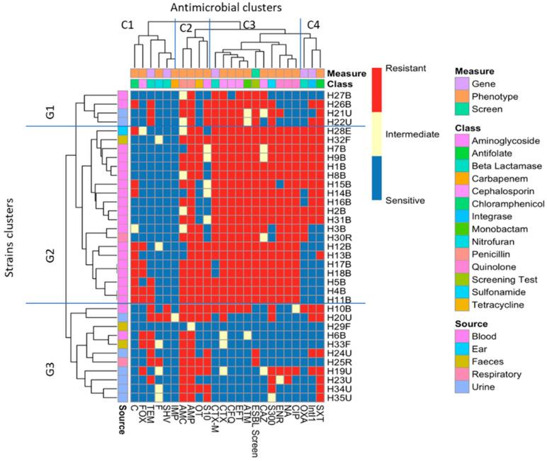 https://cdn.ncbi.nlm.nih.gov/pmc/blobs/430e/9854697/0d5c2cc992a9/antibiotics-12-00169-g003.jpg