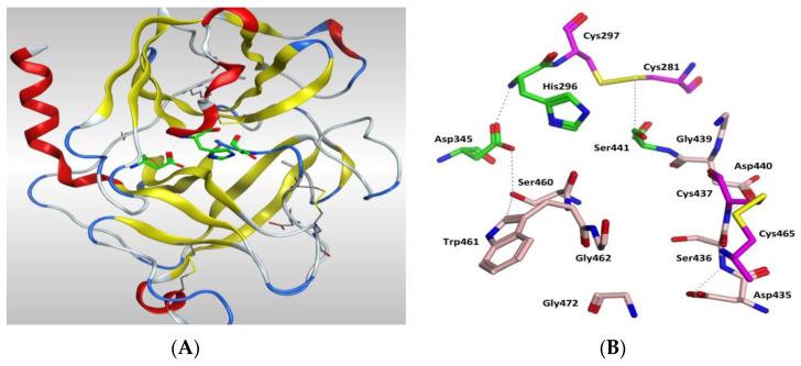 https://cdn.ncbi.nlm.nih.gov/pmc/blobs/4325/7663346/e7936d8302f0/molecules-25-05007-g007.jpg