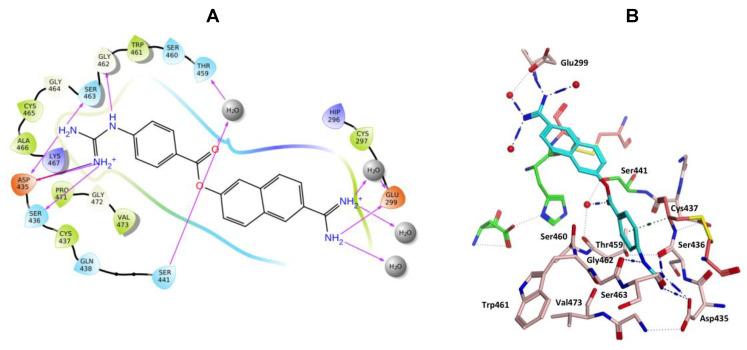 https://cdn.ncbi.nlm.nih.gov/pmc/blobs/4325/7663346/e946022d42c7/molecules-25-05007-g009.jpg