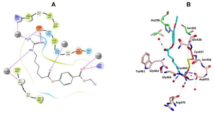 https://cdn.ncbi.nlm.nih.gov/pmc/blobs/4325/7663346/f5df53ced569/molecules-25-05007-g011.jpg