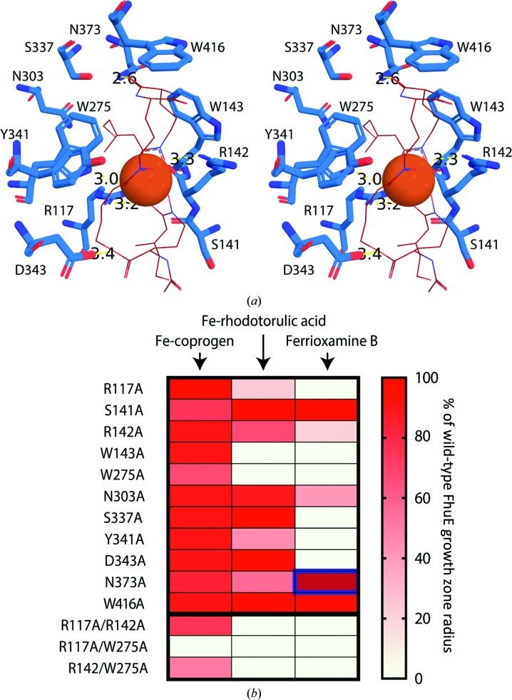 https://cdn.ncbi.nlm.nih.gov/pmc/blobs/432b/6503915/1520383a6a4a/m-06-00401-fig4.jpg