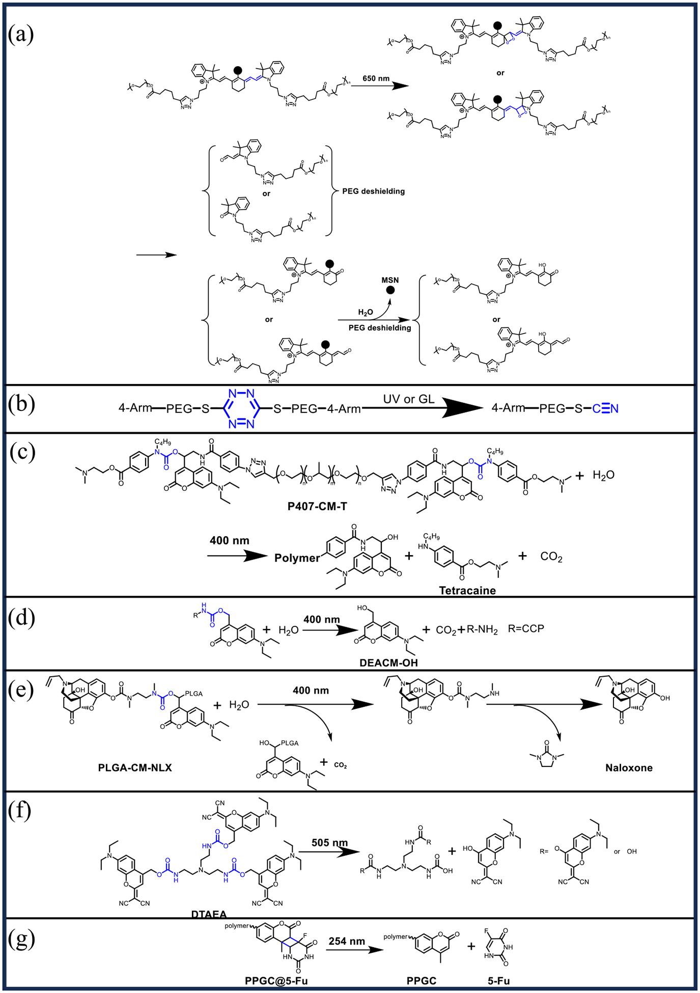 https://cdn.ncbi.nlm.nih.gov/pmc/blobs/4330/12382459/c92e3b98d0fa/nihms-2087193-f0005.jpg