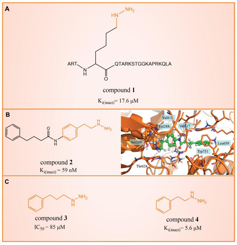 https://cdn.ncbi.nlm.nih.gov/pmc/blobs/4340/10821146/d1793503dc64/molecules-29-00550-g002.jpg