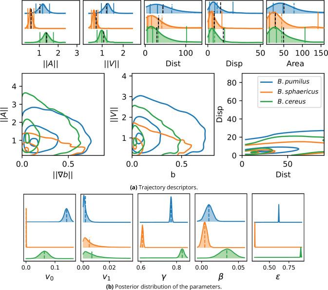 https://cdn.ncbi.nlm.nih.gov/pmc/blobs/4359/9273218/2c15a078838e/elife-76513-fig7.jpg
