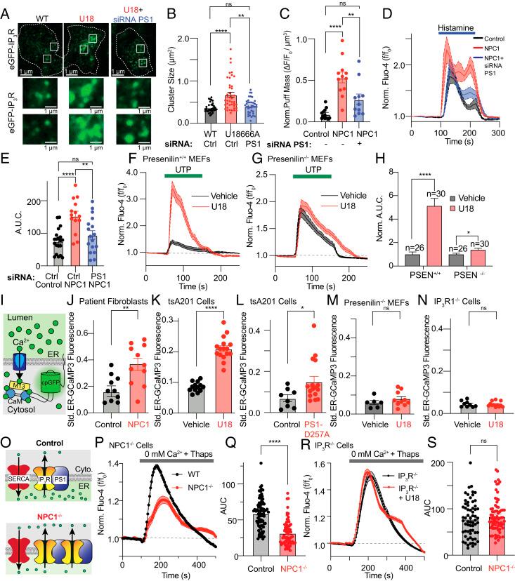 https://cdn.ncbi.nlm.nih.gov/pmc/blobs/4363/8501836/5e124f907124/pnas.2110629118fig06.jpg