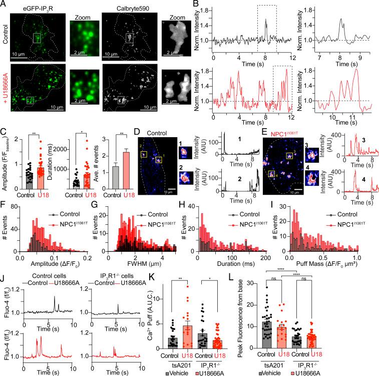 https://cdn.ncbi.nlm.nih.gov/pmc/blobs/4363/8501836/83b1c8859df0/pnas.2110629118fig04.jpg