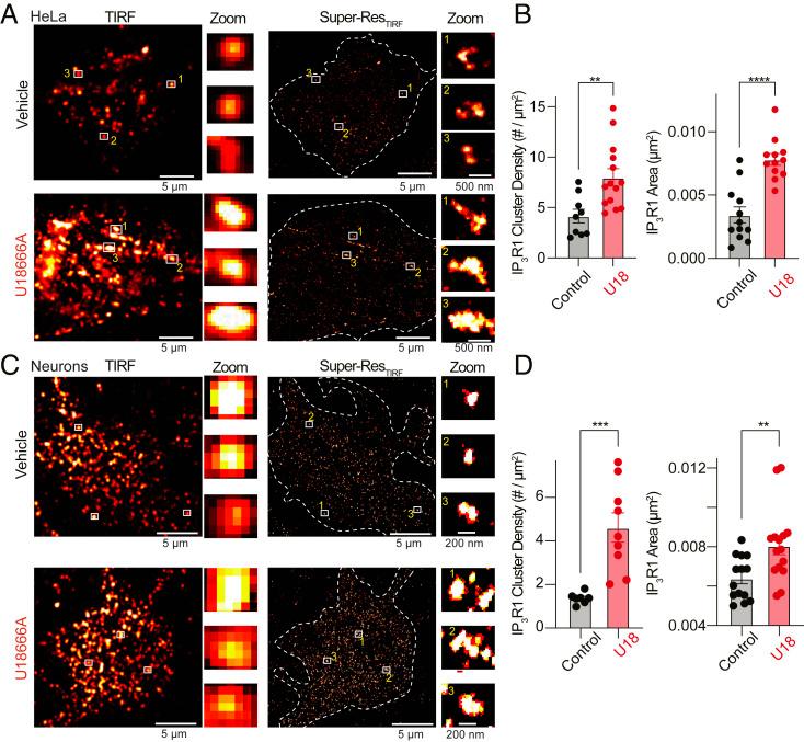https://cdn.ncbi.nlm.nih.gov/pmc/blobs/4363/8501836/aa8930d2316a/pnas.2110629118fig03.jpg