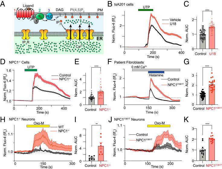 https://cdn.ncbi.nlm.nih.gov/pmc/blobs/4363/8501836/ba78b5a93d87/pnas.2110629118fig01.jpg