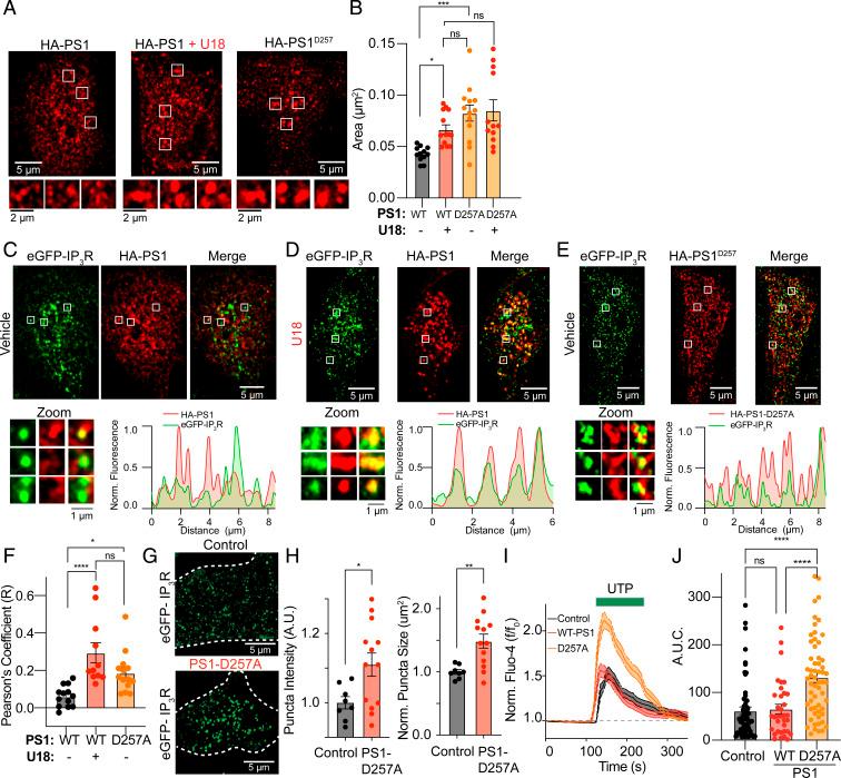 https://cdn.ncbi.nlm.nih.gov/pmc/blobs/4363/8501836/bff2aecfe0d8/pnas.2110629118fig05.jpg