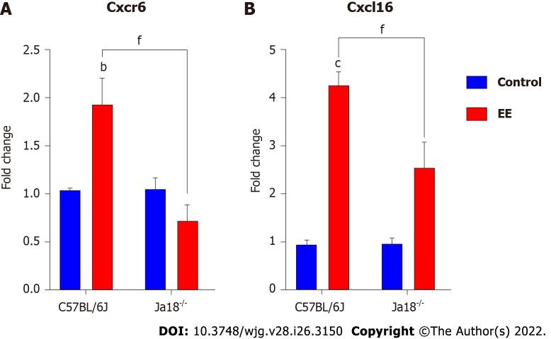 https://cdn.ncbi.nlm.nih.gov/pmc/blobs/43aa/9331528/993956e7fd0a/WJG-28-3150-g003.jpg