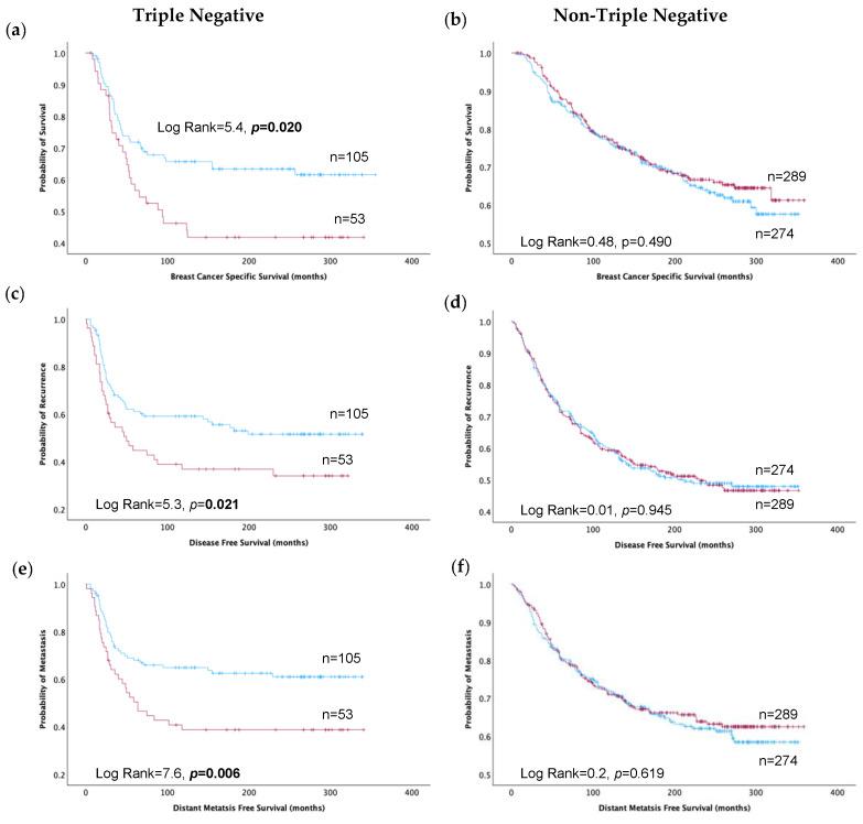 https://cdn.ncbi.nlm.nih.gov/pmc/blobs/43c0/11171213/a29d8d6dccfe/cancers-16-01949-g002.jpg