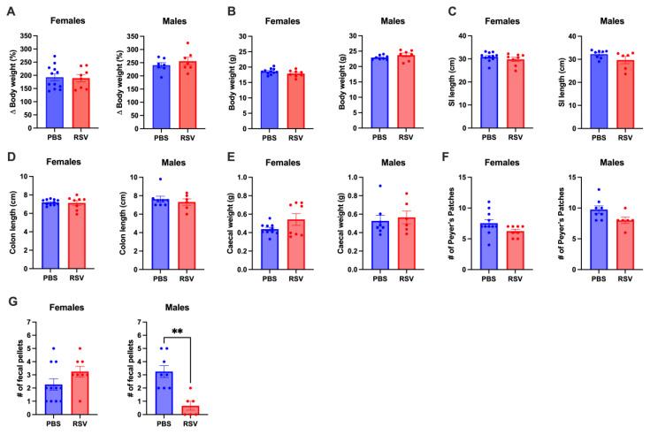 https://cdn.ncbi.nlm.nih.gov/pmc/blobs/43c4/11506009/3b5df64e3a8e/cells-13-01728-g002.jpg