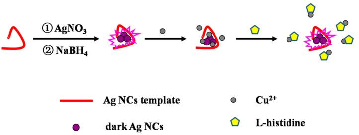 https://cdn.ncbi.nlm.nih.gov/pmc/blobs/43d7/11123781/09ab5d9405f4/molecules-29-02167-sch001.jpg