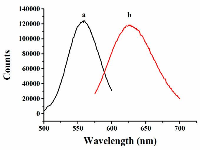 https://cdn.ncbi.nlm.nih.gov/pmc/blobs/43d7/11123781/3fc71b7aba85/molecules-29-02167-g001.jpg