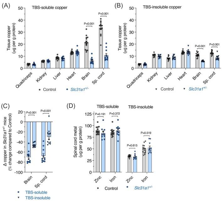 https://cdn.ncbi.nlm.nih.gov/pmc/blobs/43d9/11879390/99327cefe055/mfae036fig1.jpg