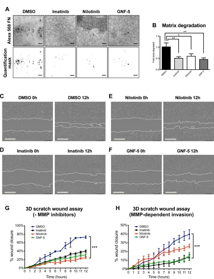 https://cdn.ncbi.nlm.nih.gov/pmc/blobs/43e0/5955141/22839c565f1b/oncotarget-09-22158-g005.jpg