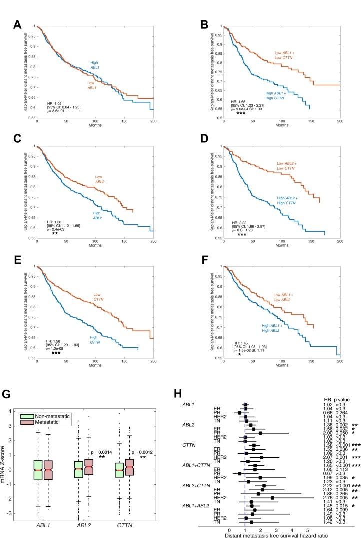 https://cdn.ncbi.nlm.nih.gov/pmc/blobs/43e0/5955141/41af40ded67a/oncotarget-09-22158-g010.jpg