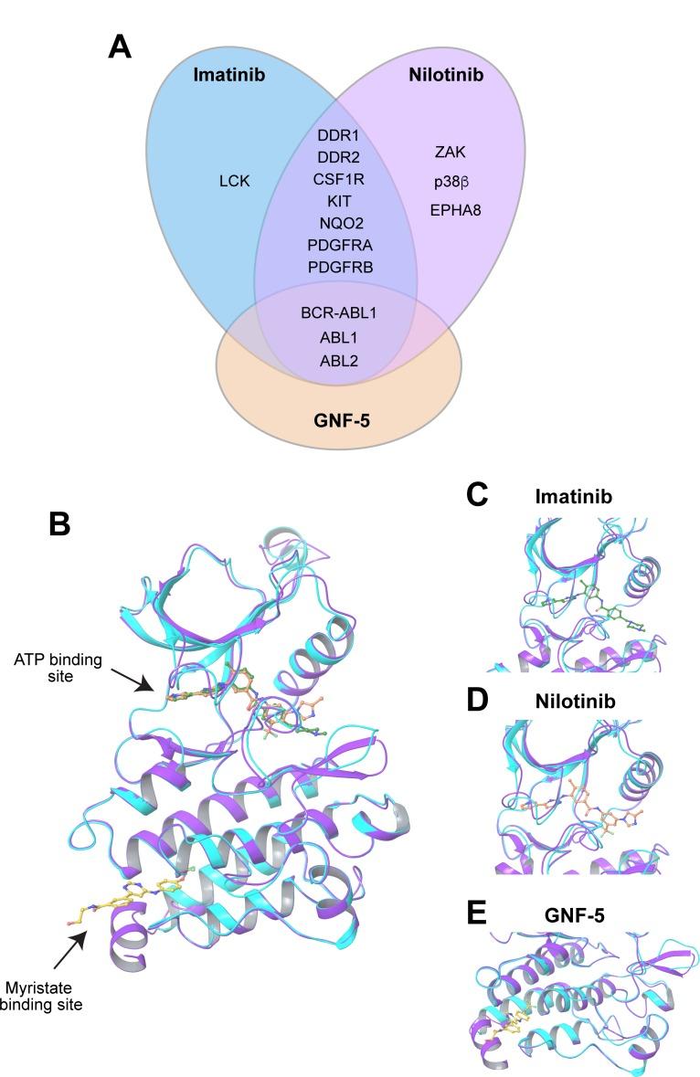 https://cdn.ncbi.nlm.nih.gov/pmc/blobs/43e0/5955141/5103697f1e89/oncotarget-09-22158-g001.jpg