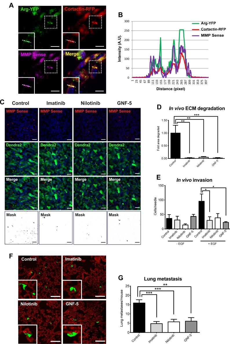 https://cdn.ncbi.nlm.nih.gov/pmc/blobs/43e0/5955141/faaee5179864/oncotarget-09-22158-g008.jpg