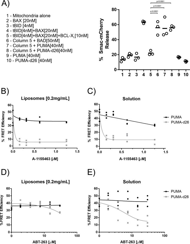 https://cdn.ncbi.nlm.nih.gov/pmc/blobs/4410/10185343/0c1ad8df4429/elife-88329-fig1.jpg