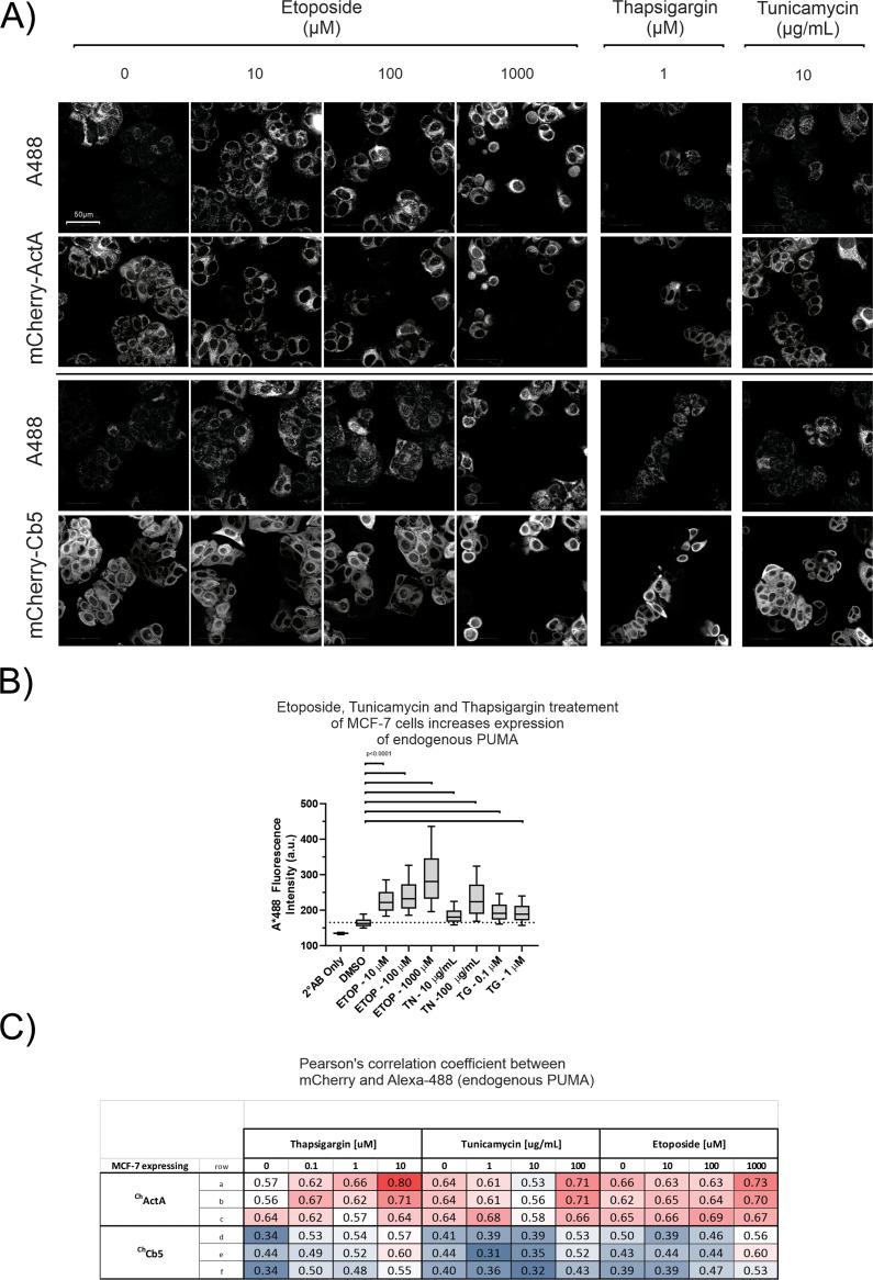 https://cdn.ncbi.nlm.nih.gov/pmc/blobs/4410/10185343/2d6b5f359689/elife-88329-fig4-figsupp3.jpg