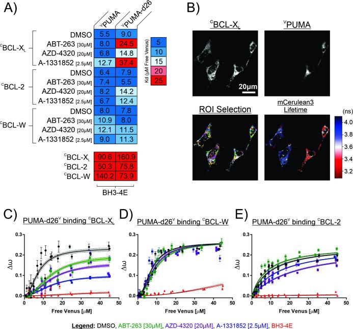 https://cdn.ncbi.nlm.nih.gov/pmc/blobs/4410/10185343/59e57afe971f/elife-88329-fig2.jpg