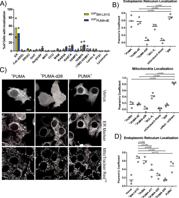 https://cdn.ncbi.nlm.nih.gov/pmc/blobs/4410/10185343/91624ad5786f/elife-88329-fig4.jpg