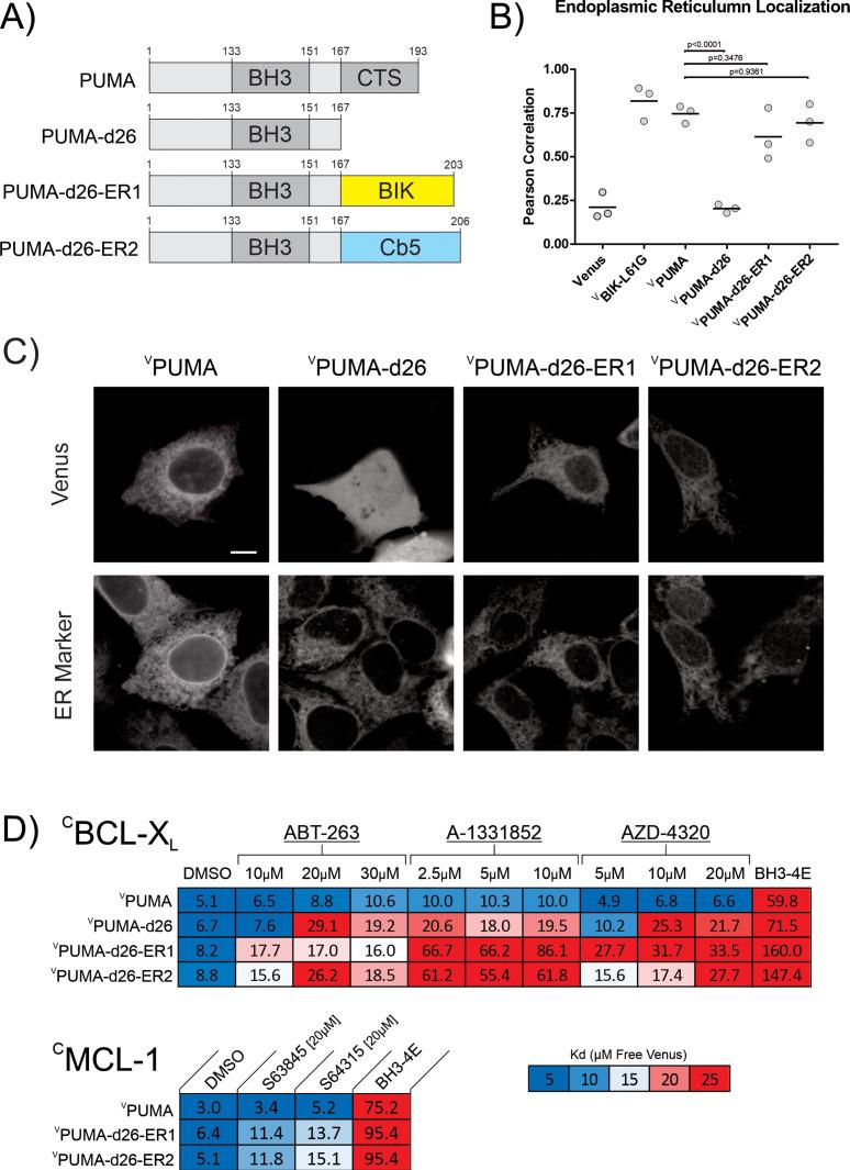 https://cdn.ncbi.nlm.nih.gov/pmc/blobs/4410/10185343/e5635a63cc3c/elife-88329-fig5.jpg