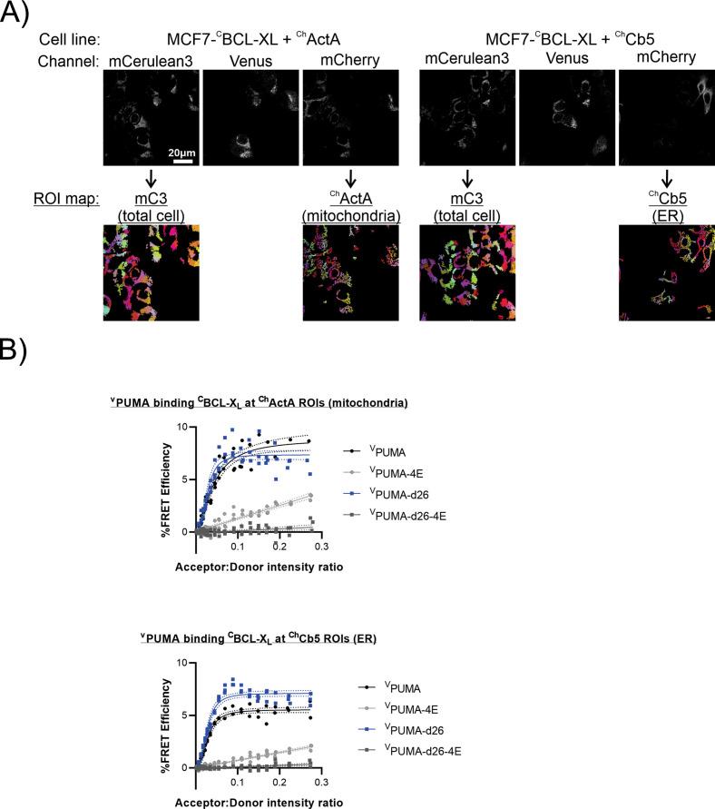 https://cdn.ncbi.nlm.nih.gov/pmc/blobs/4410/10185343/fc152b9a9f0e/elife-88329-fig4-figsupp2.jpg