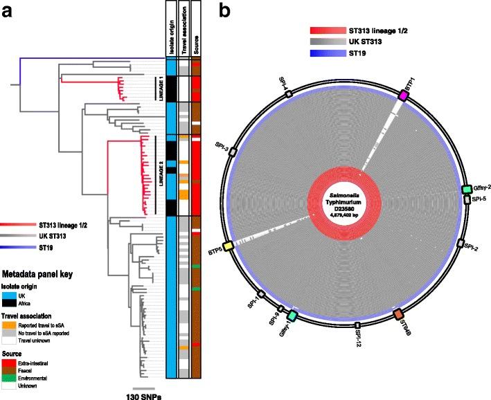 https://cdn.ncbi.nlm.nih.gov/pmc/blobs/441a/5663059/d1ecb37dd5e5/13073_2017_480_Fig2_HTML.jpg