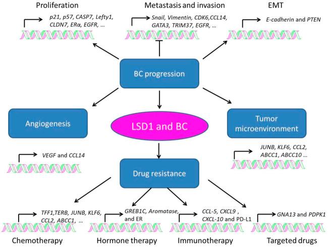 https://cdn.ncbi.nlm.nih.gov/pmc/blobs/441a/9523086/912a27fc002d/fphar-13-989575-g003.jpg