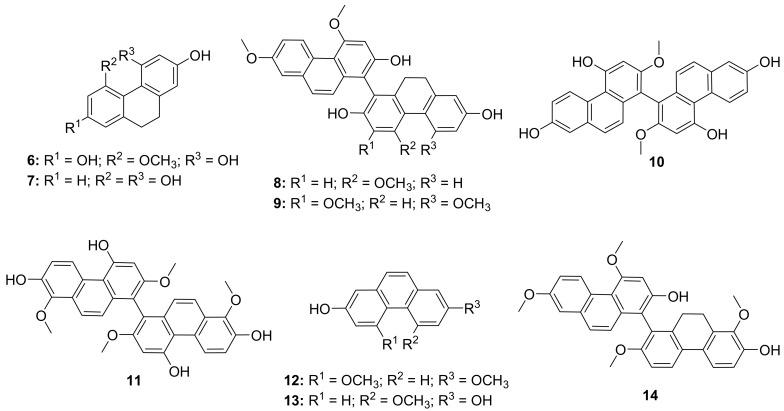 https://cdn.ncbi.nlm.nih.gov/pmc/blobs/444d/8537559/1f87335d9645/molecules-26-06197-g004.jpg