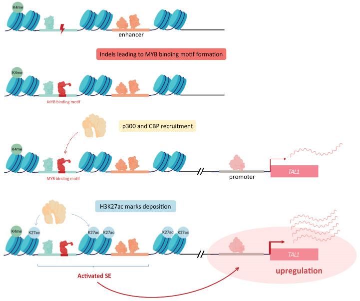 https://cdn.ncbi.nlm.nih.gov/pmc/blobs/4454/8774084/3f3e891e1e40/cells-11-00196-g003.jpg