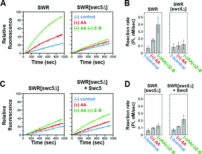 https://cdn.ncbi.nlm.nih.gov/pmc/blobs/4461/5622370/110ea3a5a736/gkx589fig2.jpg