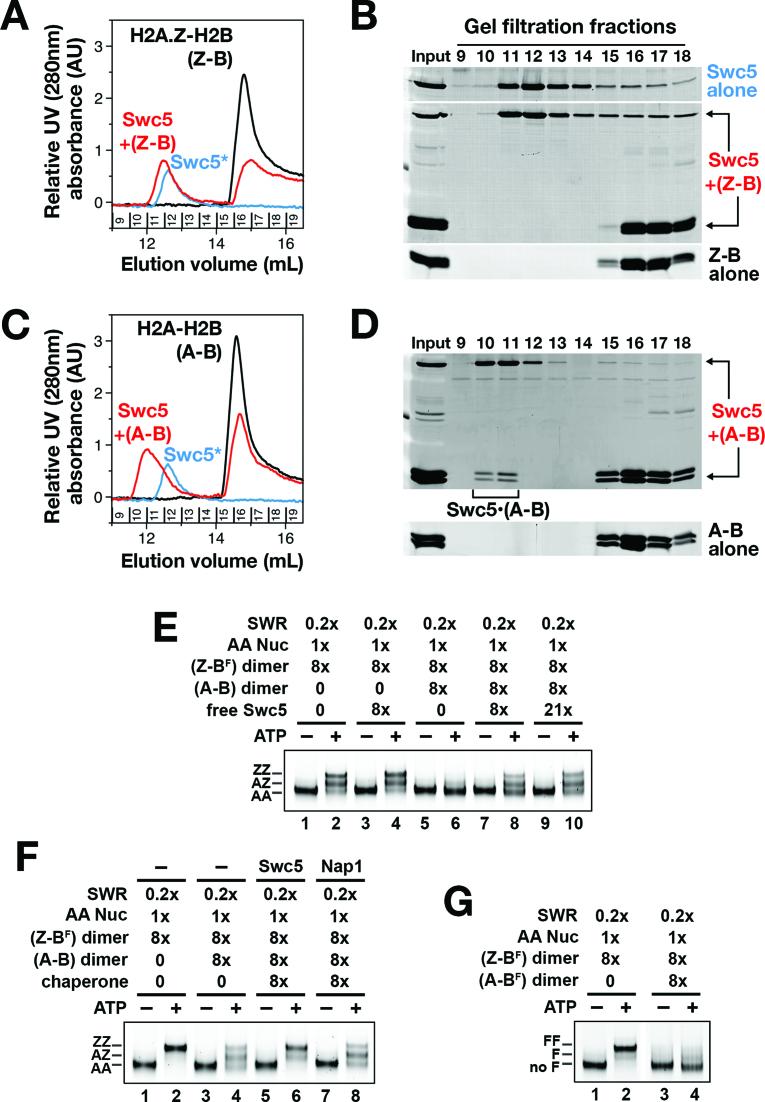 https://cdn.ncbi.nlm.nih.gov/pmc/blobs/4461/5622370/472e657b8ba7/gkx589fig3.jpg