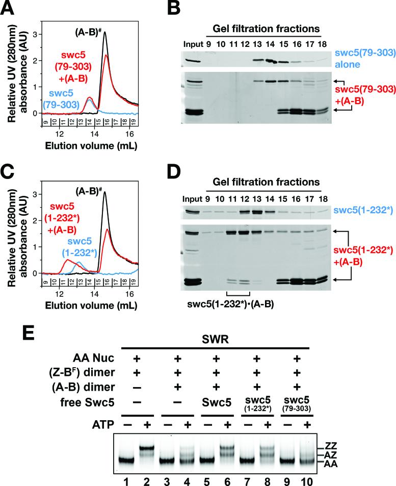 https://cdn.ncbi.nlm.nih.gov/pmc/blobs/4461/5622370/d3f50ca45802/gkx589fig6.jpg