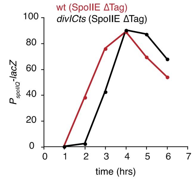 https://cdn.ncbi.nlm.nih.gov/pmc/blobs/4478/4714977/b92f3ddf996f/elife-08145-resp-fig1.jpg