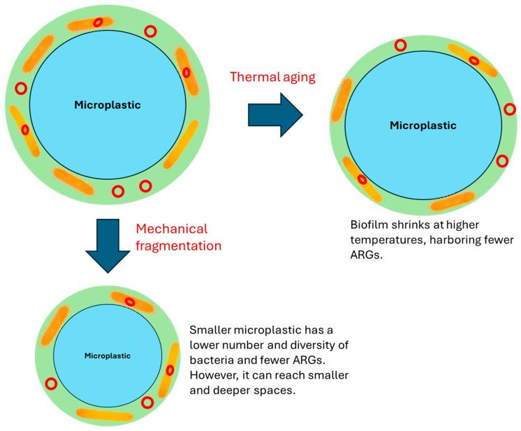 https://cdn.ncbi.nlm.nih.gov/pmc/blobs/4485/11504238/8cb702e154ea/antibiotics-13-00941-g002.jpg