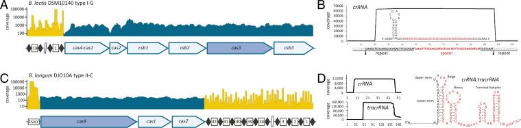 https://cdn.ncbi.nlm.nih.gov/pmc/blobs/4485/9335239/2e5a2bd84501/pnas.2205068119fig01.jpg